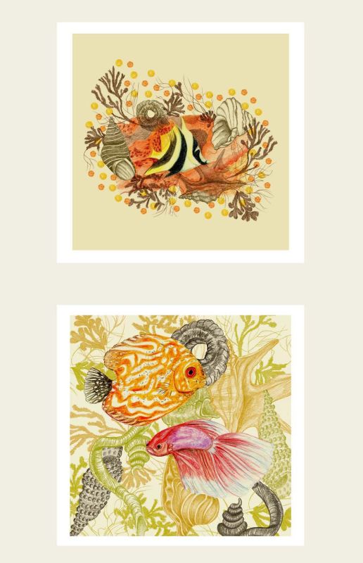  - Beltrida - illustrateurs/rices