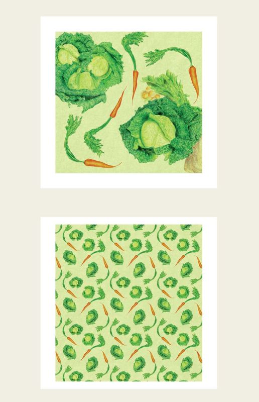  - Beltrida - illustrateurs/rices