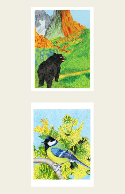  - Beltrida - illustrateurs/rices